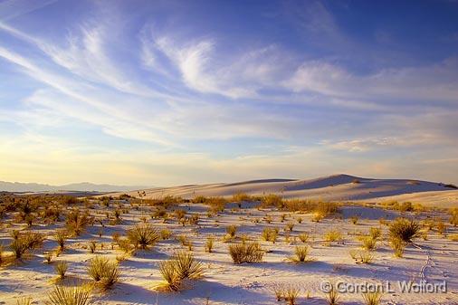 White Sands_32398.jpg - Photographed at the White Sands National Monument near Alamogordo, New Mexico, USA.